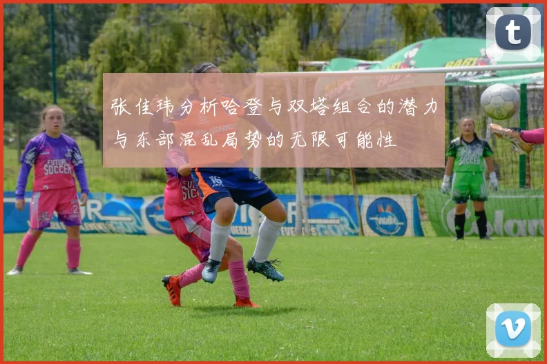 张佳玮分析哈登与双塔组合的潜力与东部混乱局势的无限可能性