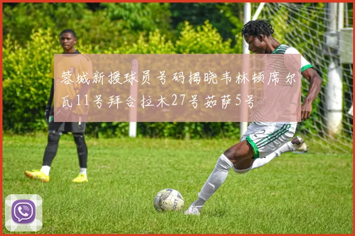 蓉城新援球员号码揭晓韦林顿席尔瓦11号拜合拉木27号茹萨5号