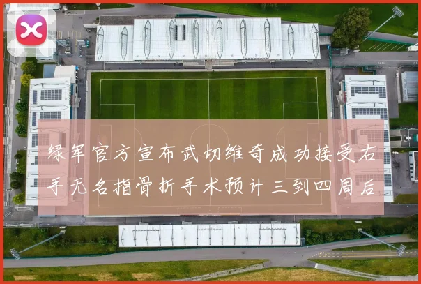 绿军官方宣布武切维奇成功接受右手无名指骨折手术预计三到四周后复查