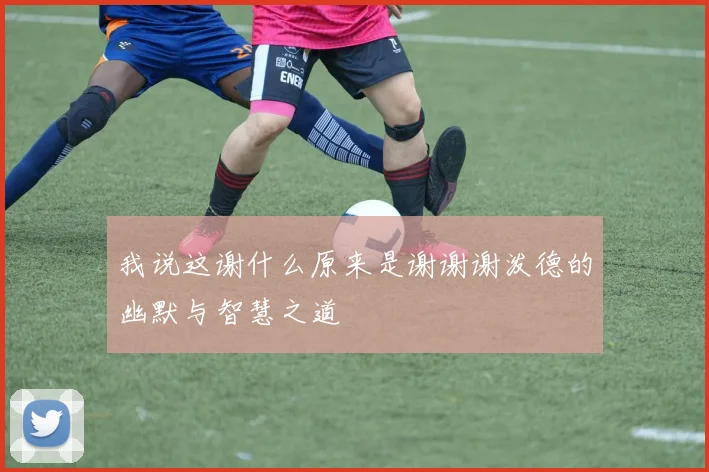 我说这谢什么原来是谢谢谢泼德的幽默与智慧之道