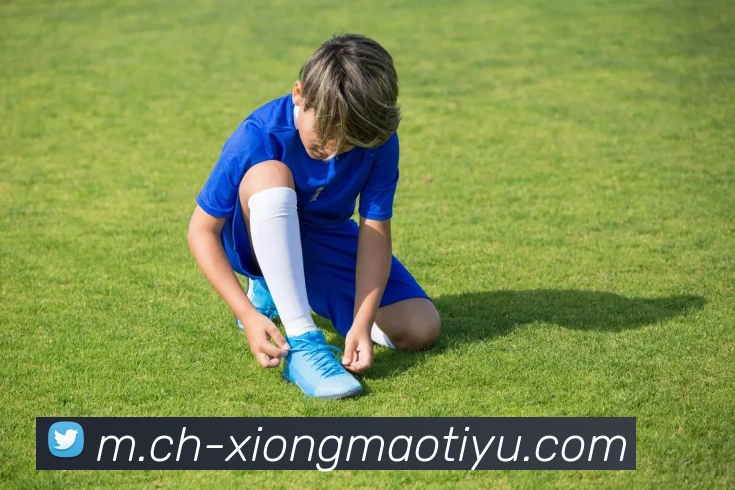 熊猫体育发展历程