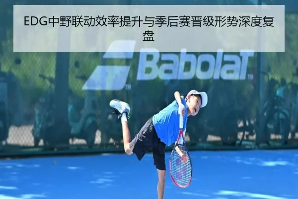 EDG中野联动效率提升与季后赛晋级形势深度复盘